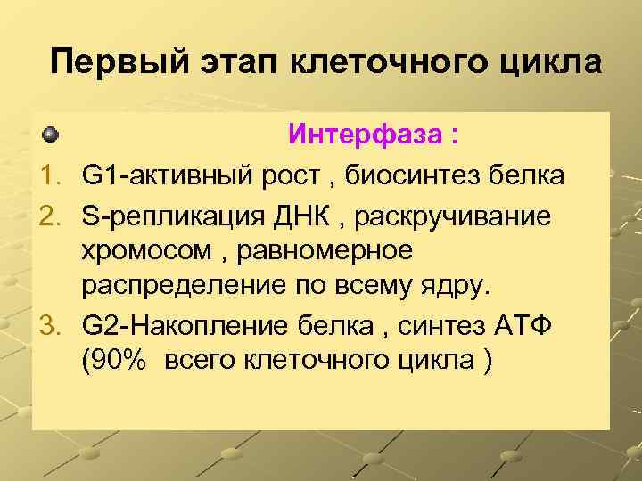 Первый этап клеточного цикла 1. 2. 3. Интерфаза : G 1 -активный рост ,