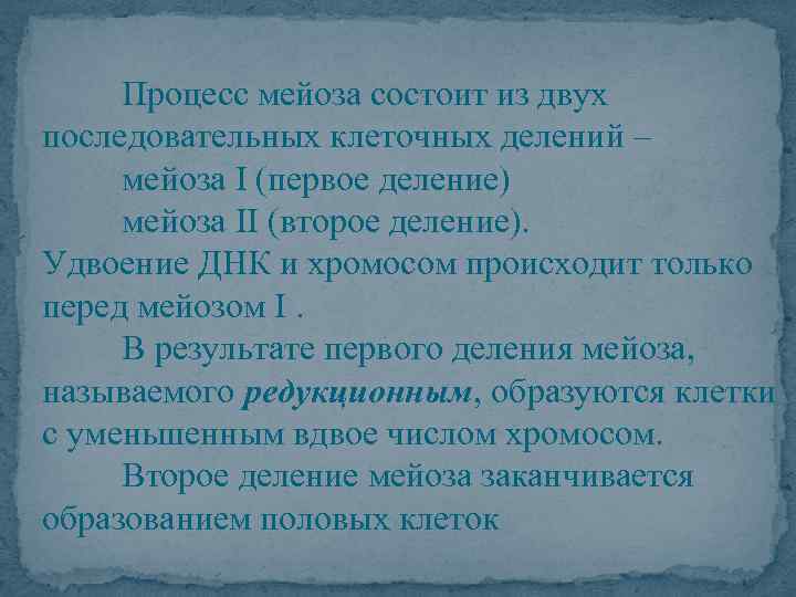 Процесс мейоза состоит из двух последовательных клеточных делений – мейоза I (первое деление) мейоза