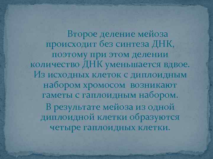 Второе деление мейоза происходит без синтеза ДНК, поэтому при этом делении количество ДНК уменьшается