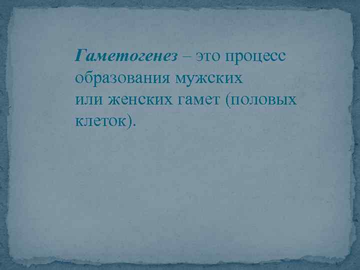 Гаметогенез – это процесс образования мужских или женских гамет (половых клеток). 