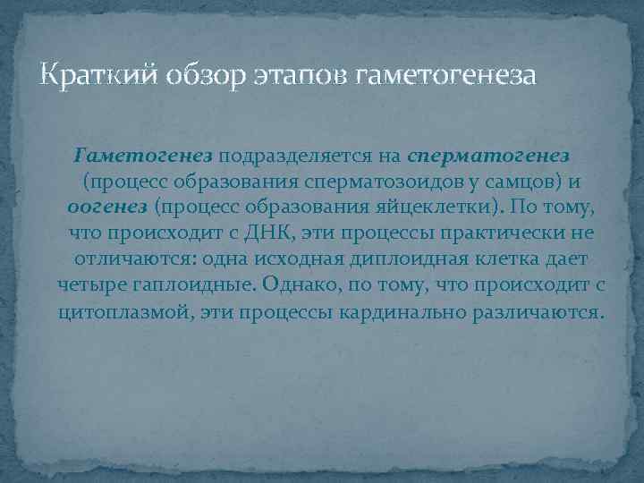 Краткий обзор этапов гаметогенеза Гаметогенез подразделяется на сперматогенез (процесс образования сперматозоидов у самцов) и