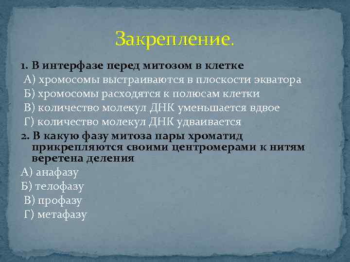 Хромосомы выстраиваются. Хромосомы выстраиваются в экваториальной плоскости клетки. Экваториальная плоскость клетки.