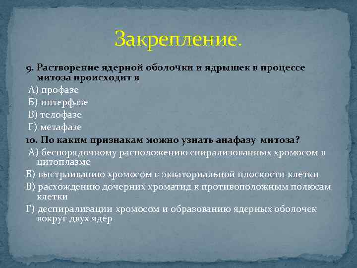 Растворение ядерной мембраны. Растворение ядерной оболочки и ядрышек в процессе митоза происходит. Растворение ядерной оболочки. Митоз растворение ядерной оболочки.