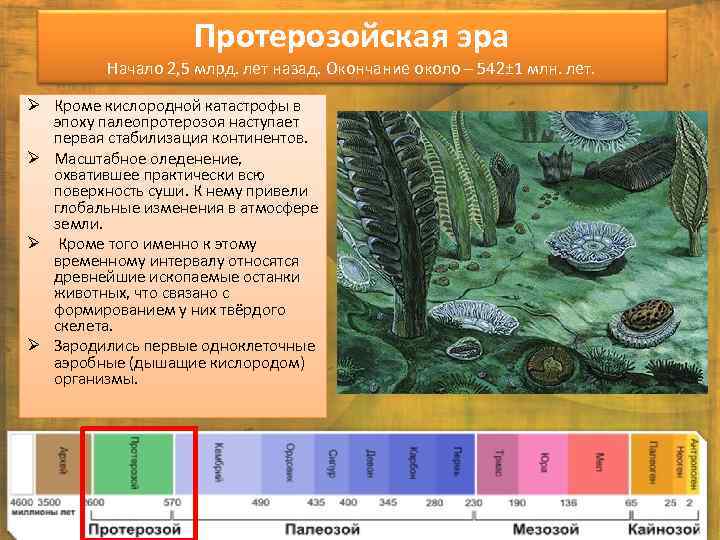 Протерозойская эра Начало 2, 5 млрд. лет назад. Окончание около – 542± 1 млн.