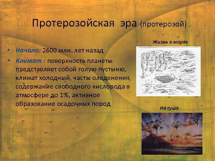 Протерозойская эра (протерозой) Жизнь в морях • Начало: 2600 млн. лет назад • Климат