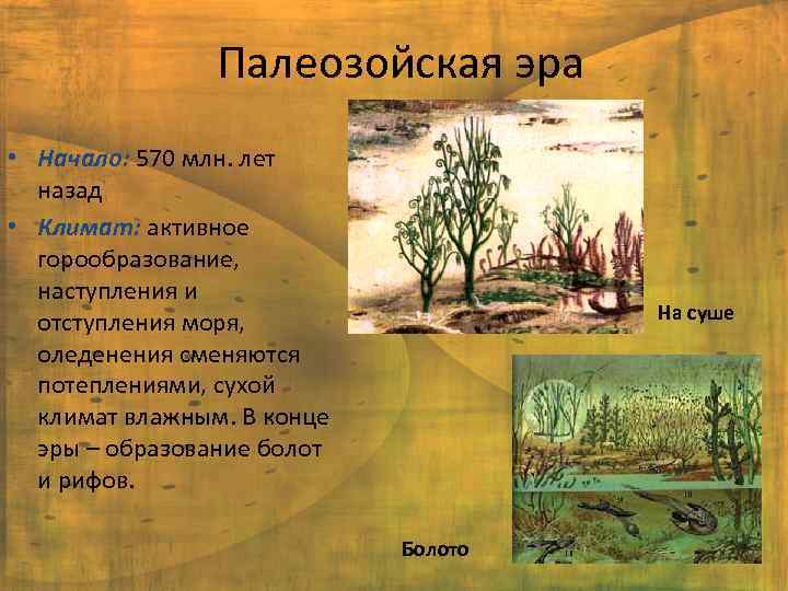 Палеозойская эра • Начало: 570 млн. лет назад • Климат: активное горообразование, наступления и