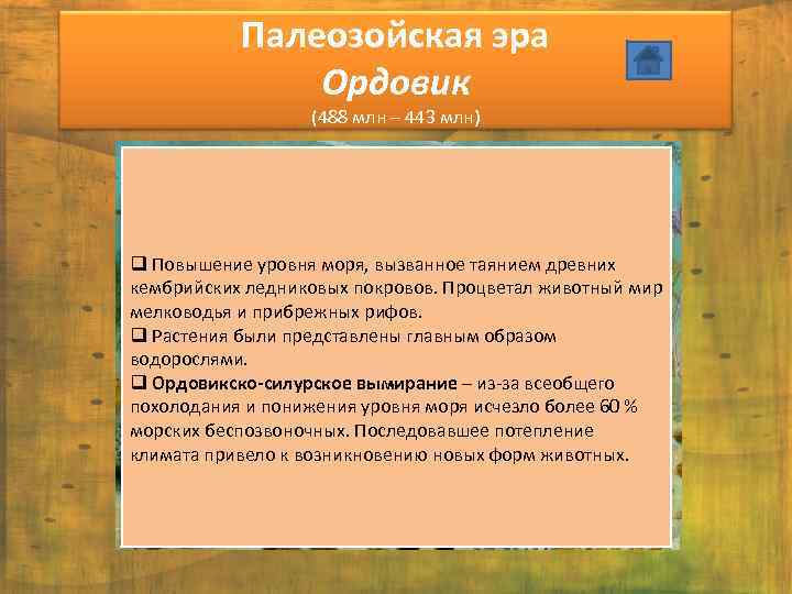 Палеозойская эра Ордовик (488 млн – 443 млн) q Повышение уровня моря, вызванное таянием