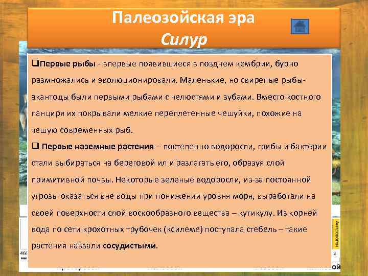 Палеозойская эра Силур q. Первые рыбы - впервые появившиеся в позднем кембрии, бурно размножались