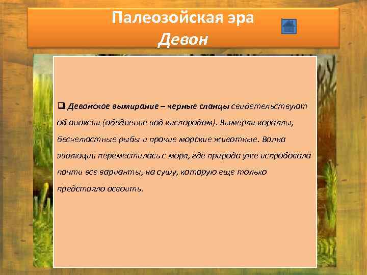 Палеозойская эра Девон q Девонское вымирание – черные сланцы свидетельствуют об аноксии (обеднение вод