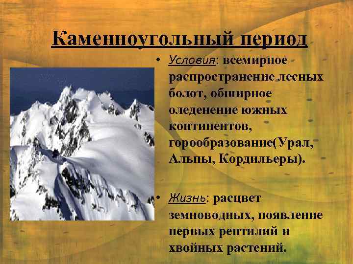 Каменноугольный период • Условия: всемирное распространение лесных болот, обширное оледенение южных континентов, горообразование(Урал, Альпы,