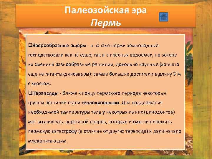 Палеозойская эра Пермь q. Зверообразные ящеры - в начале перми земноводные господствовали как на