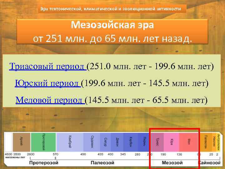 Эра тектонической, климатической и эволюционной активности Мезозойская эра от 251 млн. до 65 млн.