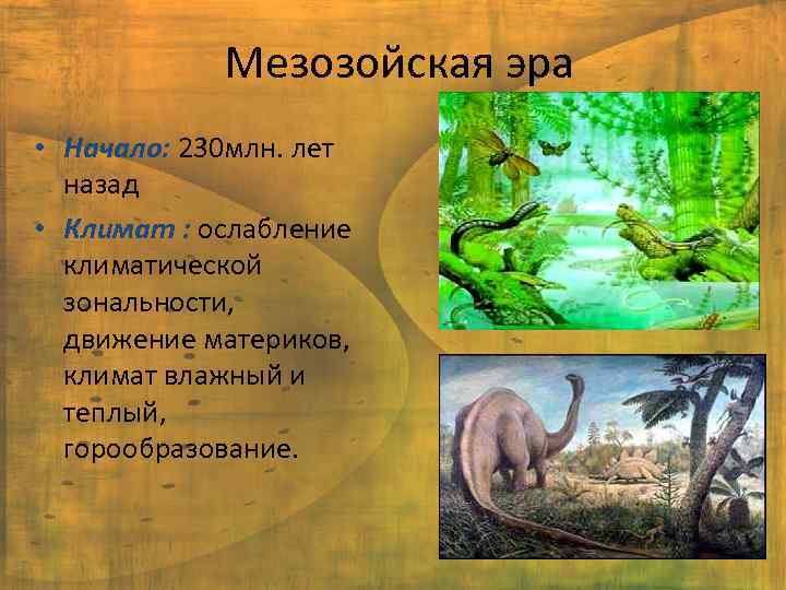 Мезозойская эра • Начало: 230 млн. лет назад • Климат : ослабление климатической зональности,