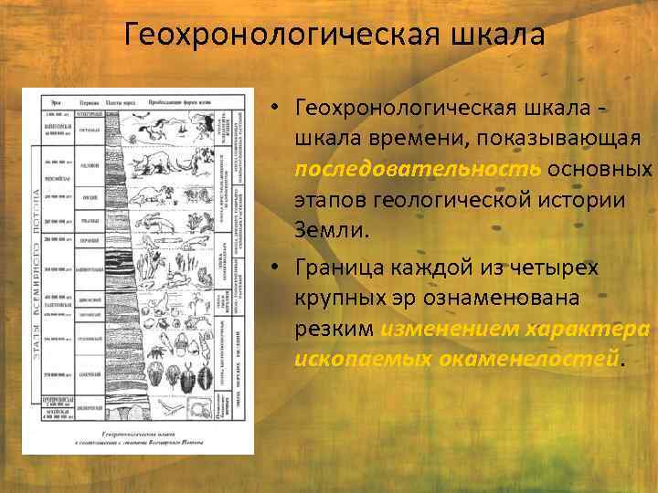 Геохронологическая шкала • Геохронологическая шкала - шкала времени, показывающая последовательность основных этапов геологической истории