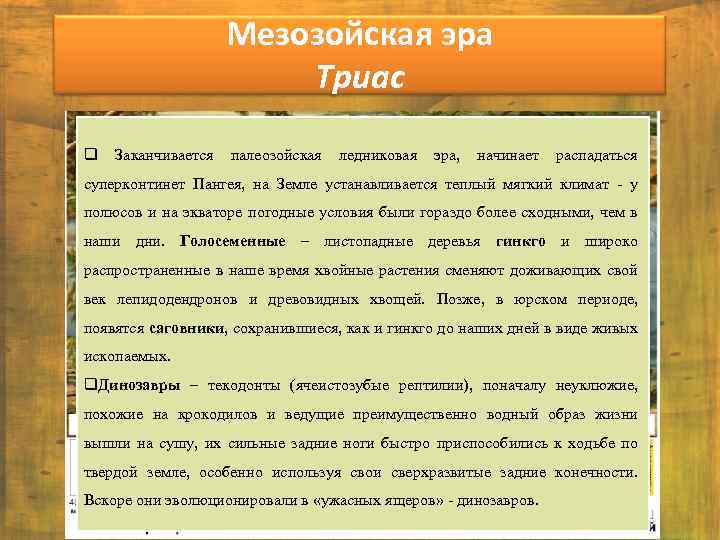 Мезозойская эра Триас q Заканчивается палеозойская ледниковая эра, начинает распадаться суперконтинет Пангея, на Земле