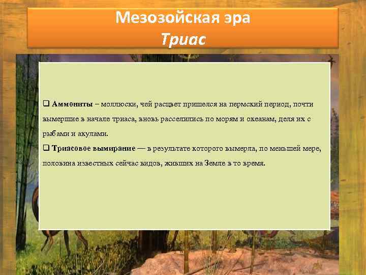 Мезозойская эра Триас q Аммониты – моллюски, чей расцвет пришелся на пермский период, почти