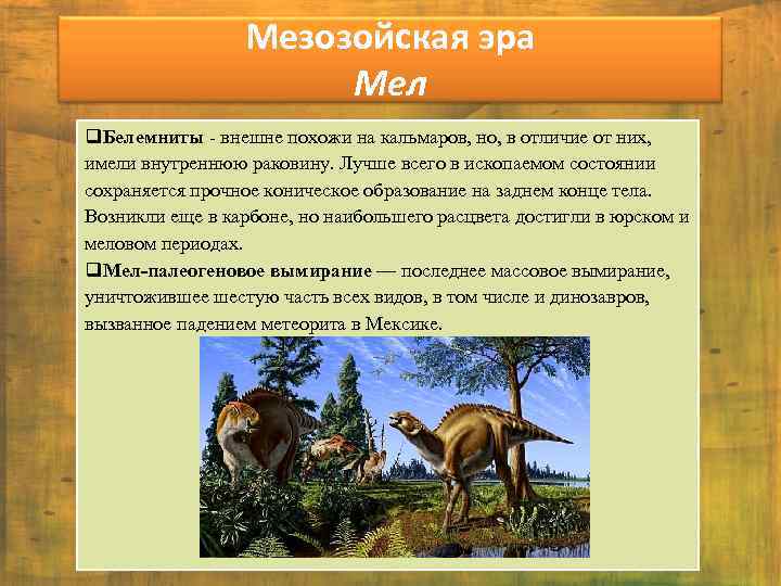 Мезозойская эра Мел q. Белемниты - внешне похожи на кальмаров, но, в отличие от