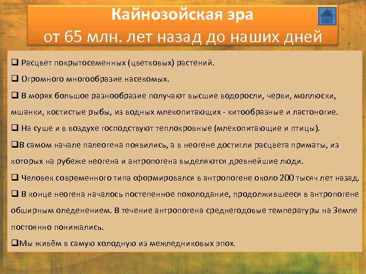 Кайнозойская эра от 65 млн. лет назад до наших дней q Расцвет покрытосеменных (цветковых)