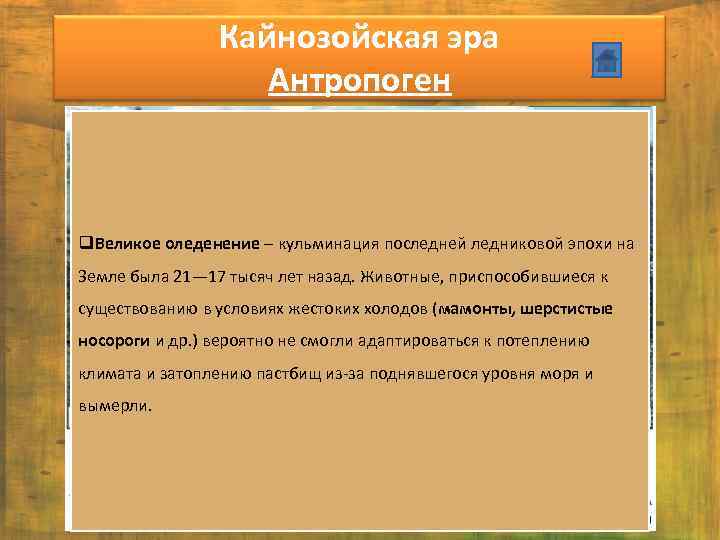 Кайнозойская эра Антропоген q. Великое оледенение – кульминация последней ледниковой эпохи на Земле была