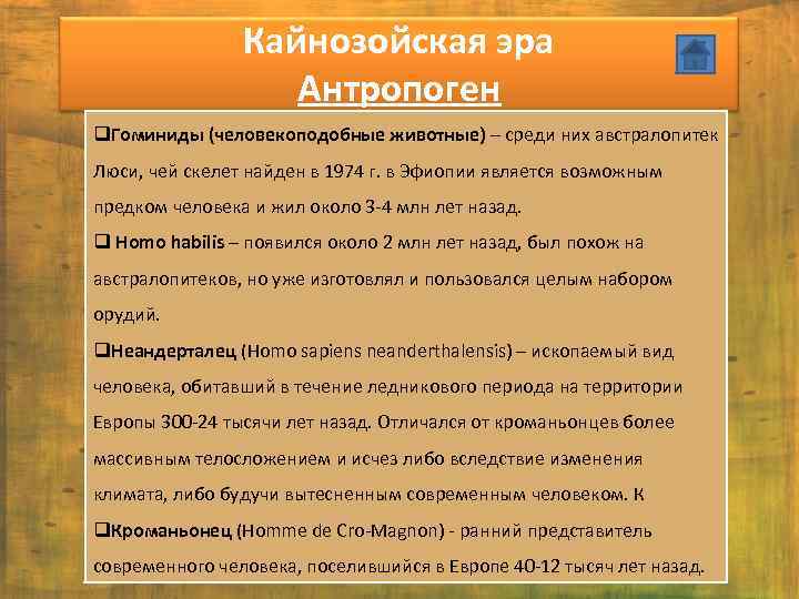 Кайнозойская эра Антропоген q. Гоминиды (человекоподобные животные) – среди них австралопитек Люси, чей скелет