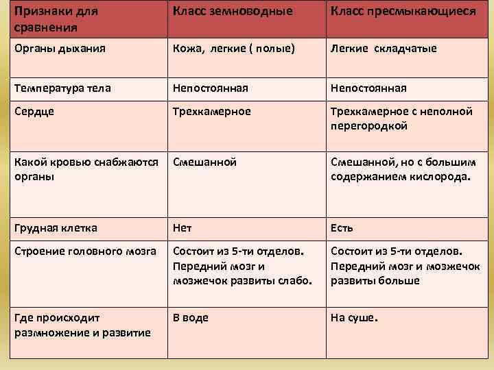 Признаки для сравнения Класс земноводные Класс пресмыкающиеся Органы дыхания Кожа, легкие ( полые) Легкие