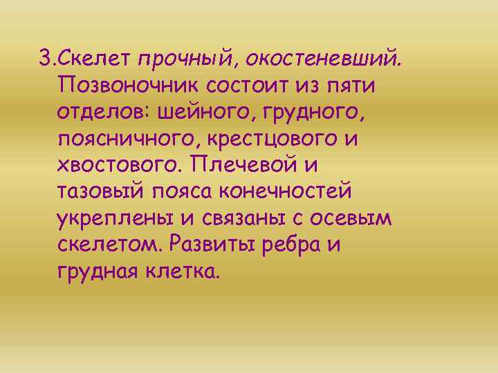 3. Скелет прочный, окостеневший. Позвоночник состоит из пяти отделов: шейного, грудного, поясничного, крестцового и