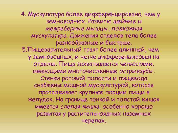 4. Мускулатура более дифференцирована, чем у земноводных. Развиты шейные и межреберные мышцы, подкожная мускулатура.