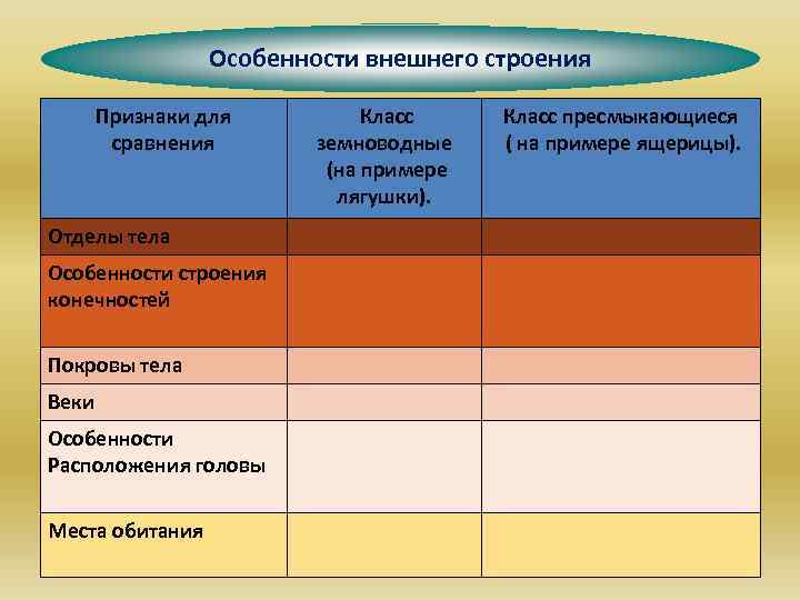 Отделы тела ящерицы таблица. Класс пресмыкающиеся отделы тела. Сравнение земноводных и пресмыкающиеся. Класс земноводные покровы тела.