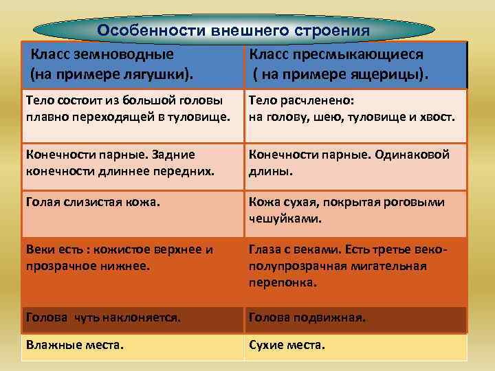 Сравнительная таблица рептилий