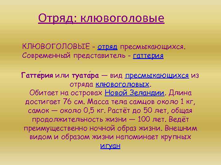 Отряд: клювоголовые КЛЮВОГОЛОВЫЕ - отряд пресмыкающихся. Современный представитель - гаттерия Гатте рия или туата