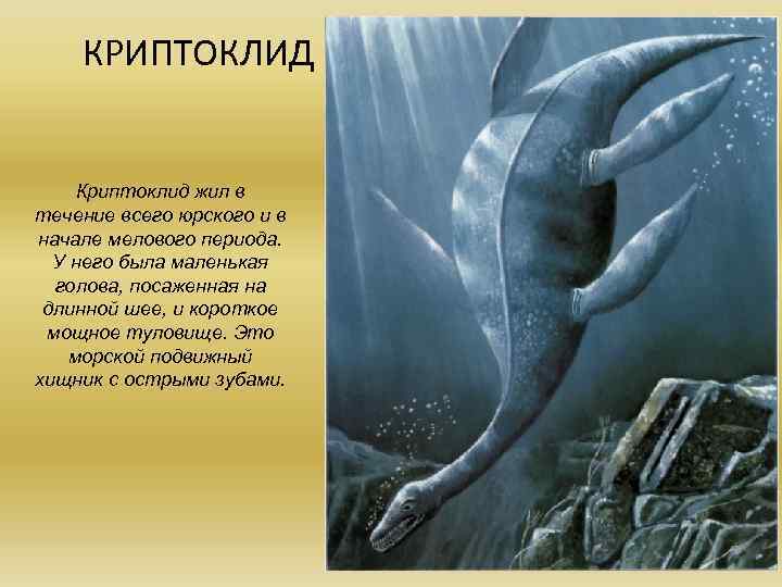КРИПТОКЛИД Криптоклид жил в течение всего юрского и в начале мелового периода. У него