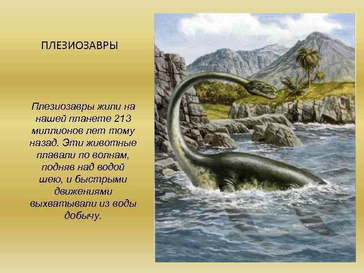 ПЛЕЗИОЗАВРЫ Плезиозавры жили на нашей планете 213 миллионов лет тому назад. Эти животные плавали