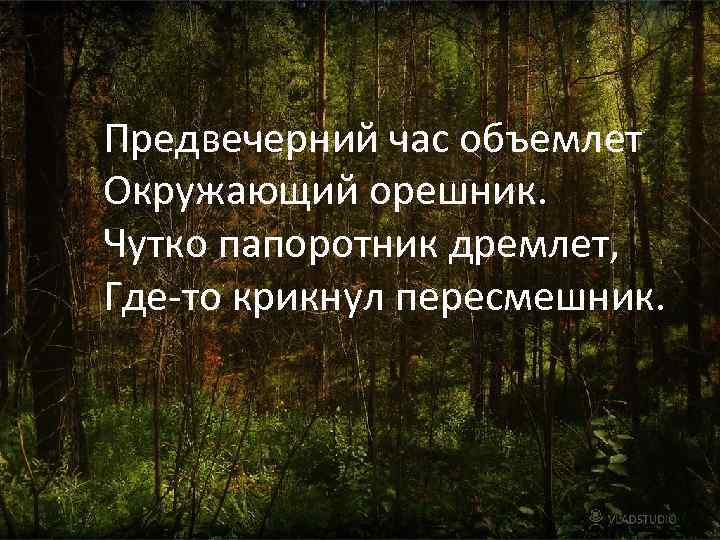 Предвечерний час объемлет Окружающий орешник. Чутко папоротник дремлет, Где-то крикнул пересмешник. 