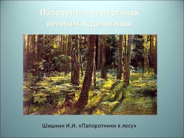 Папоротник на картинах великих художников Шишкин И. И. «Папоротники в лесу» 