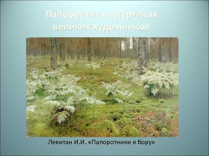 Папоротник на картинах великих художников Левитан И. И. «Папоротники в бору» 