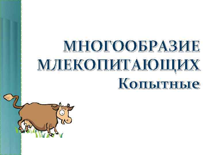 МНОГООБРАЗИЕ МЛЕКОПИТАЮЩИХ Копытные 