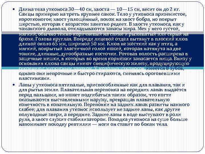  Длина тела утконоса 30— 40 см, хвоста — 10— 15 см, весит он