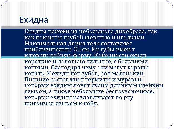 Ехидна Ехидны похожи на небольшого дикобраза, так как покрыты грубой шерстью и иголками. Максимальная