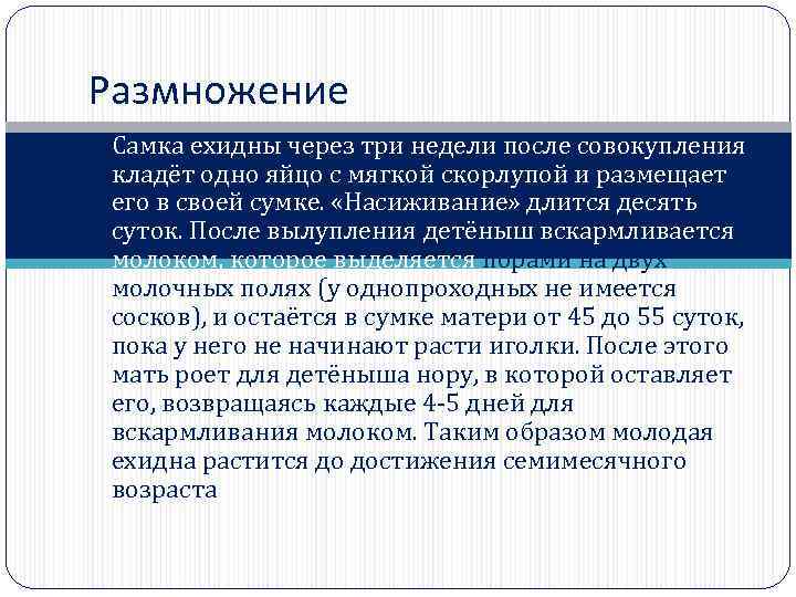 Размножение Самка ехидны через три недели после совокупления кладёт одно яйцо с мягкой скорлупой