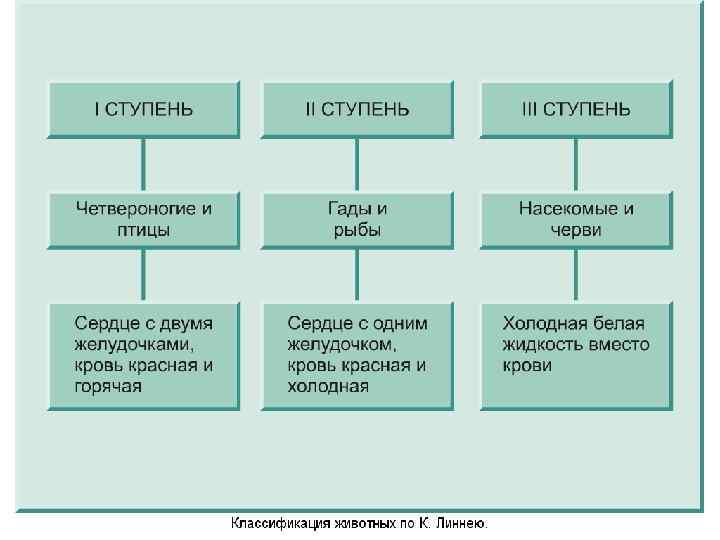 Вложил в стеклянные сосуды свежее мясо