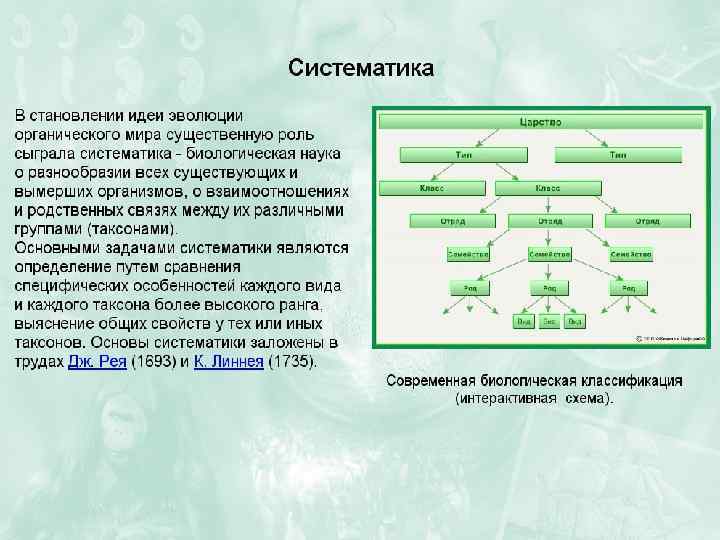 Вложил в стеклянные сосуды свежее мясо