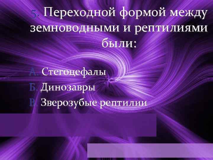 5. Переходной формой между земноводными и рептилиями были: А. Стегоцефалы Б. Динозавры В. Зверозубые