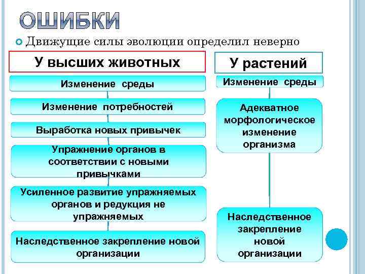 Схема движущей силы эволюции