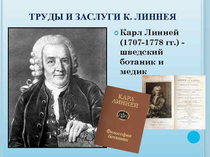 ТРУДЫ И ЗАСЛУГИ К. ЛИННЕЯ Карл Линней (1707 -1778 гг. ) шведский ботаник и