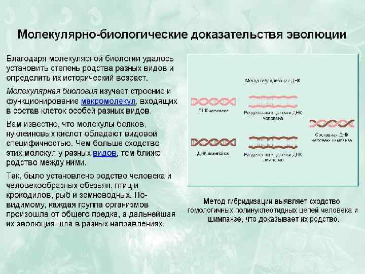 Вложил в стеклянные сосуды свежее мясо