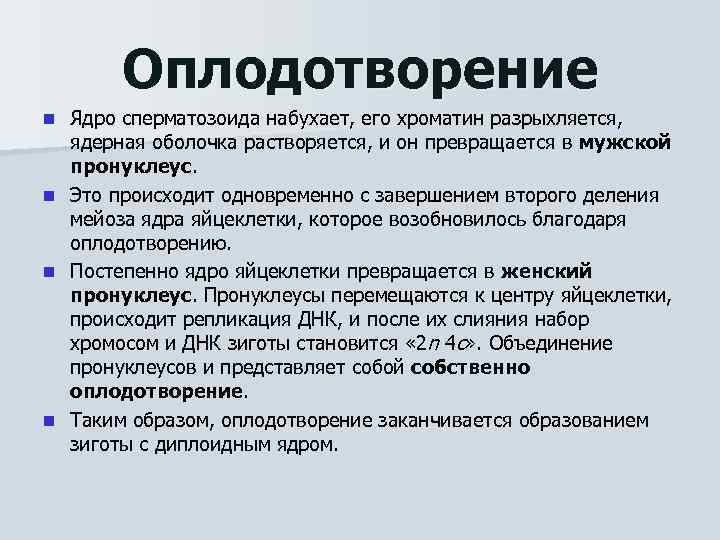 Оплодотворение Ядро сперматозоида набухает, его хроматин разрыхляется, ядерная оболочка растворяется, и он превращается в