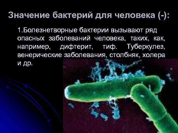 Значение бактерий для человека (-): 1. Болезнетворные бактерии вызывают ряд опасных заболеваний человека, таких,