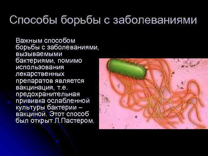 Жизнедеятельность бактерий 5. Способы борьбы с бактериями. Особенности строения и жизнедеятельности бактериальной клетки. Ослабленные бактерии. Вакцинация микробы.