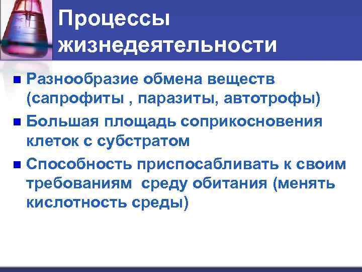 Процессы жизнедеятельности Разнообразие обмена веществ (сапрофиты , паразиты, автотрофы) n Большая площадь соприкосновения клеток