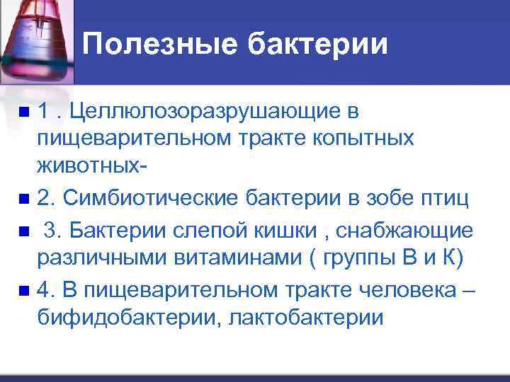 Полезные бактерии 1. Целлюлозоразрушающие в пищеварительном тракте копытных животных- n 2. Симбиотические бактерии в